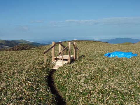 テキサスゲート