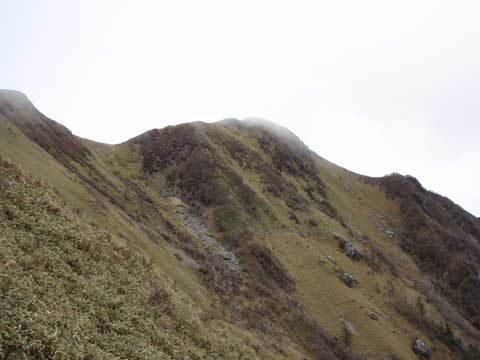 三嶺山頂を振り返る
