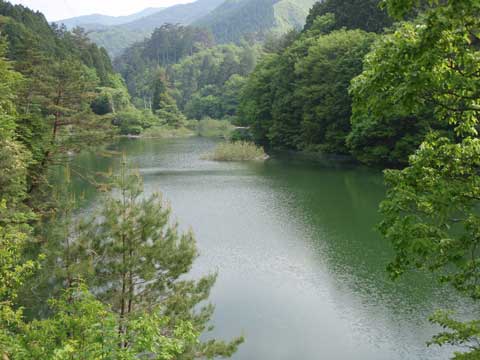 松尾川ダム 深渕